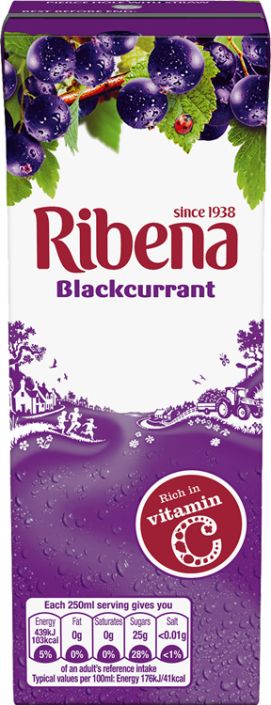 Rebena Ribena: Blackcurrant: Carton 250ml (8.5fl oz) – O'Malley's European Foods